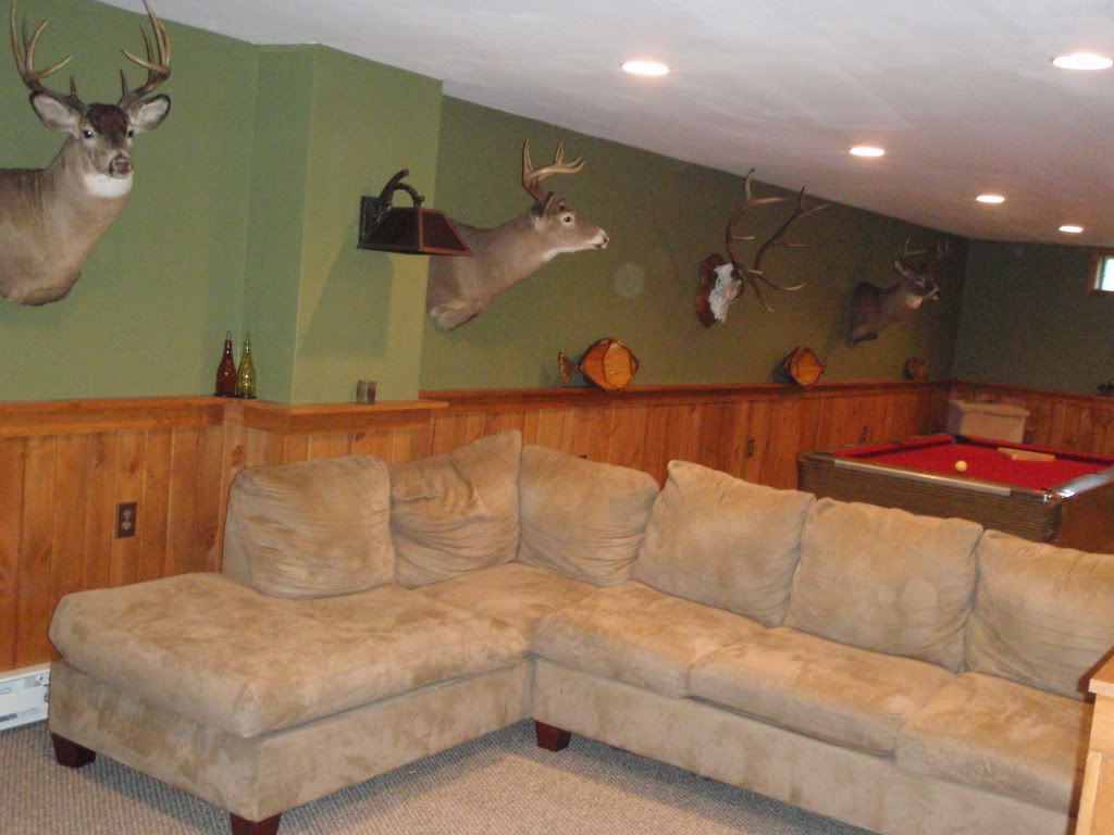 Basement project Complete! General Hunting Hunting New York NY